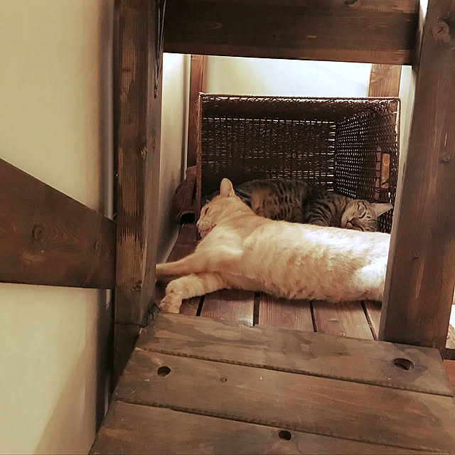 mikan161さんの実例写真