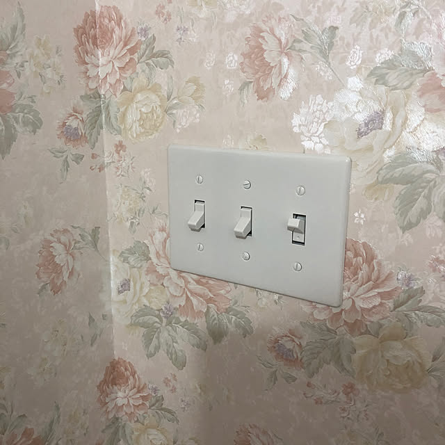 fairyさんの実例写真