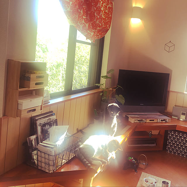 jijiさんの実例写真