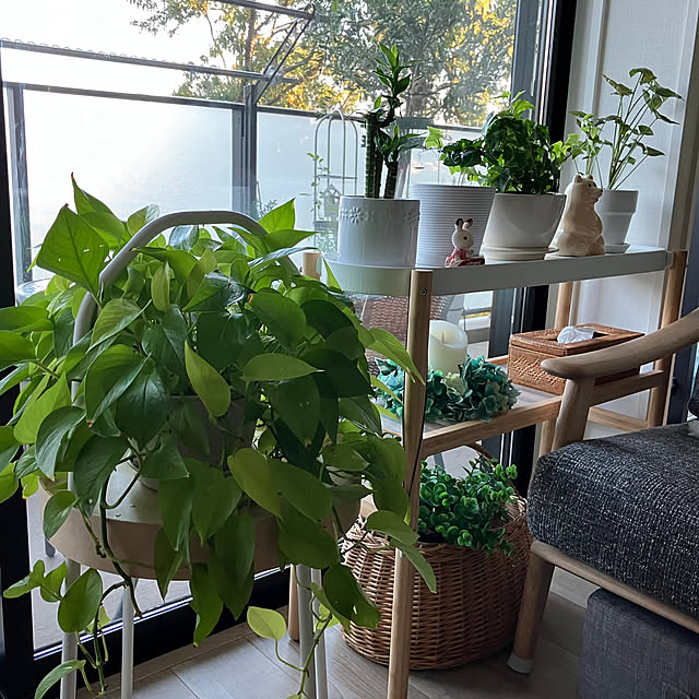 coomamさんの部屋