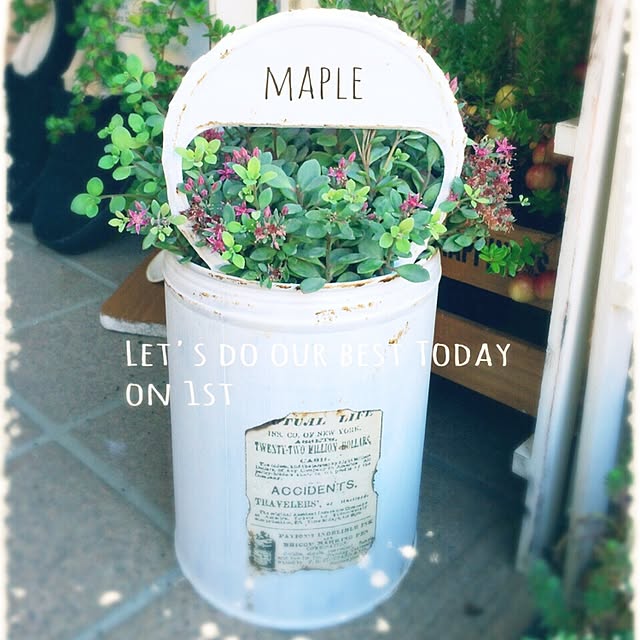 mapleさんの実例写真