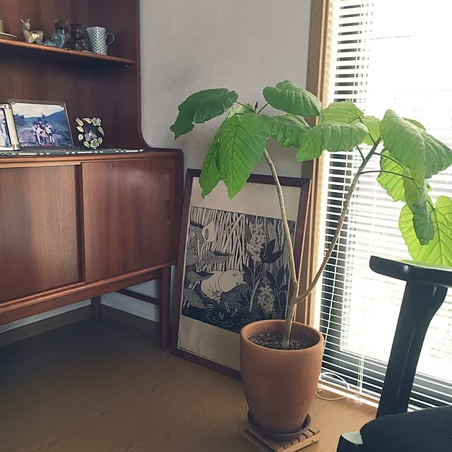 tomoさんの実例写真