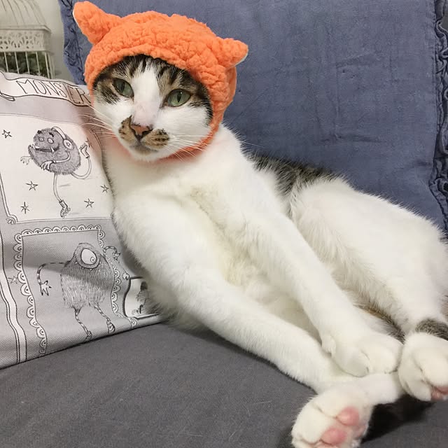 yuchiさんの実例写真
