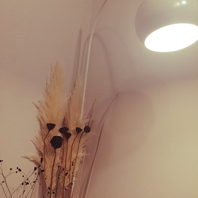 mugi1123さんの実例写真