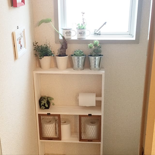 poniさんの実例写真