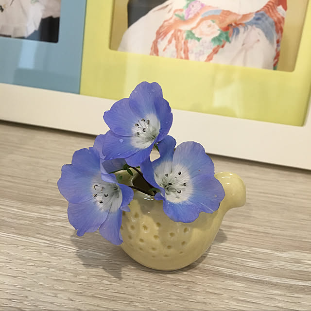 Mikiさんの実例写真