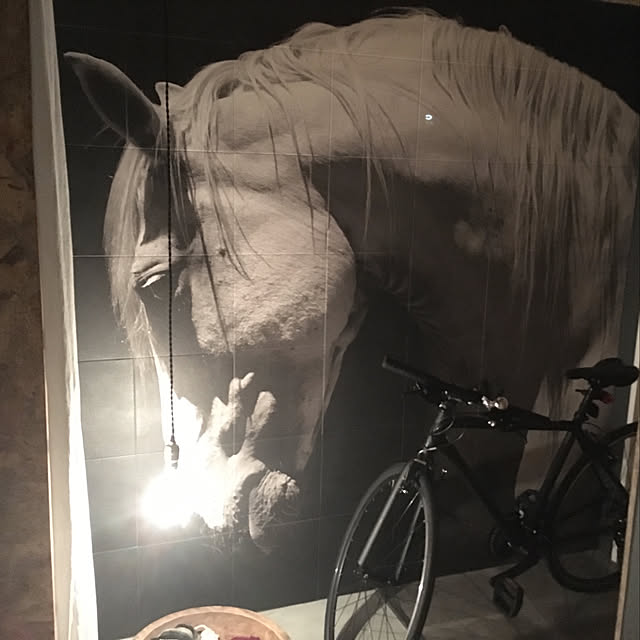 Yasuさんの実例写真
