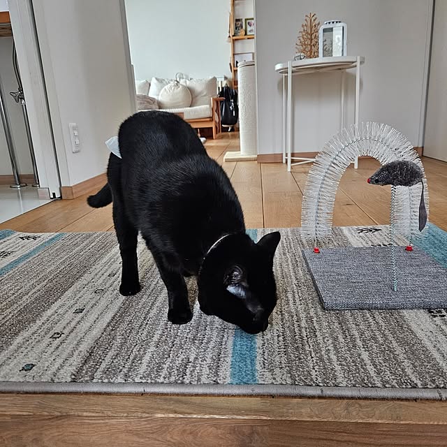 koyurizuさんの部屋