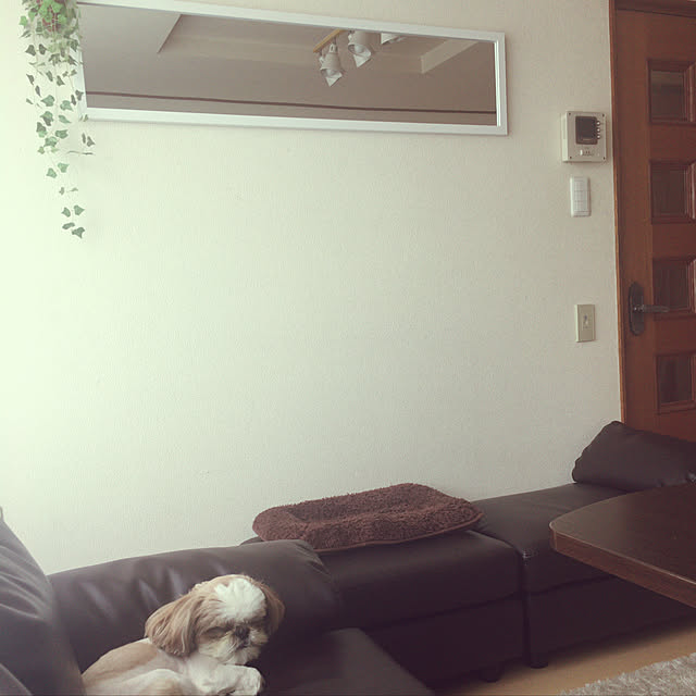 my_homeさんの実例写真