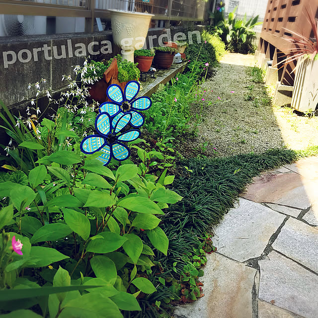portulacaさんの実例写真