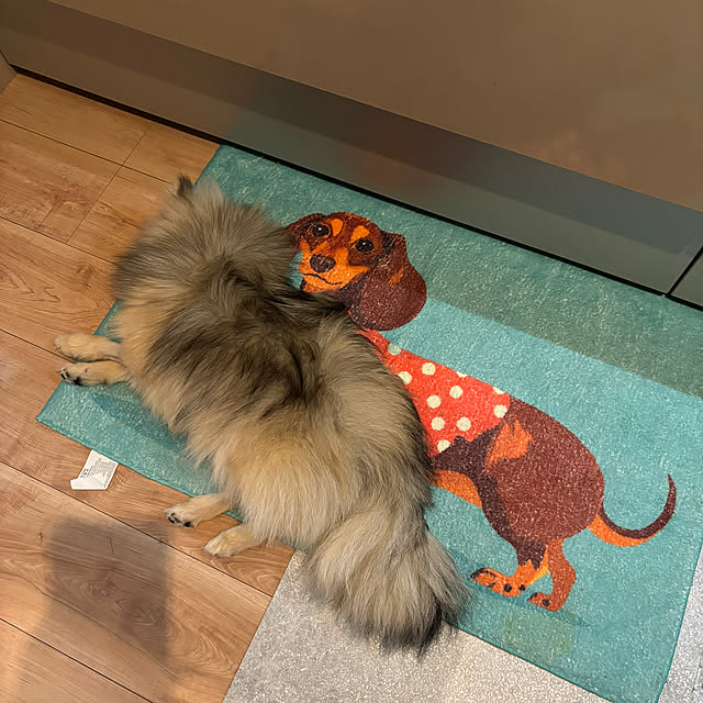 uninekoさんの部屋