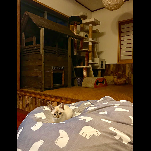 butachanさんの実例写真