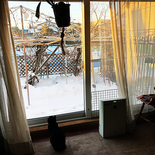 julyさんの実例写真