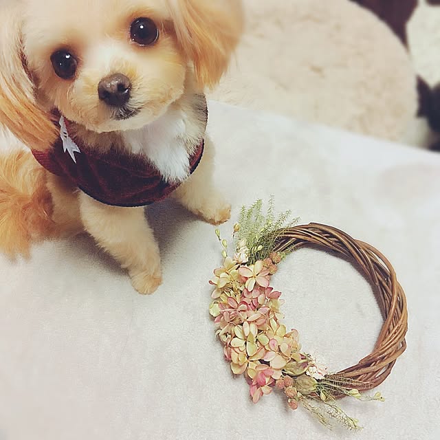 risaさんの実例写真