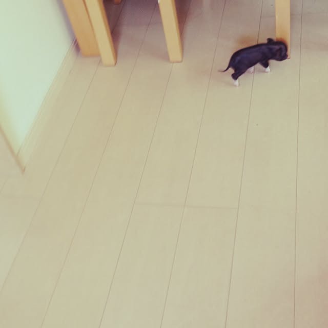 YukAさんの実例写真