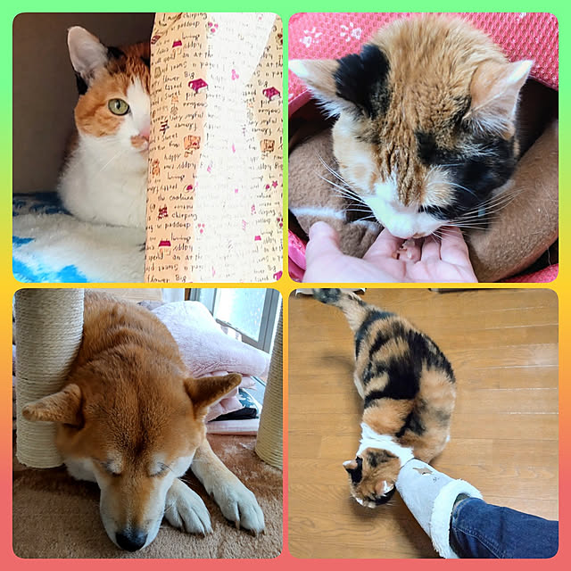 nanaさんの実例写真