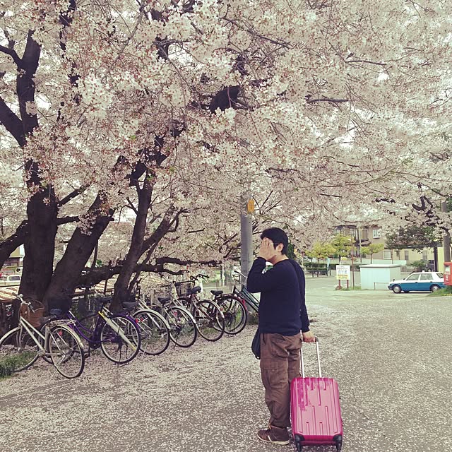 himebonさんの実例写真