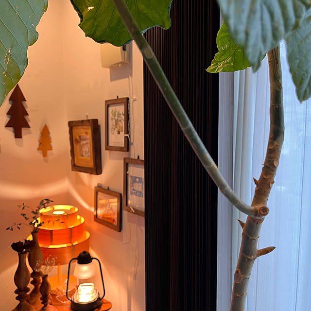 kojimasaさんの部屋