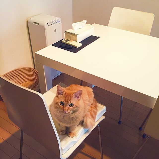 Ryokoさんの実例写真