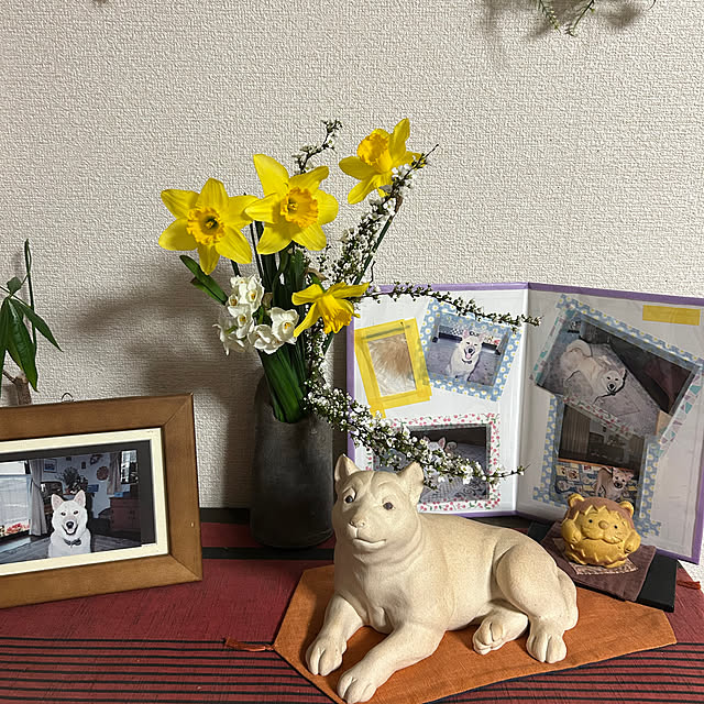 ritsukoさんの部屋
