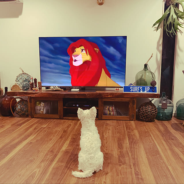 momomoさんの実例写真