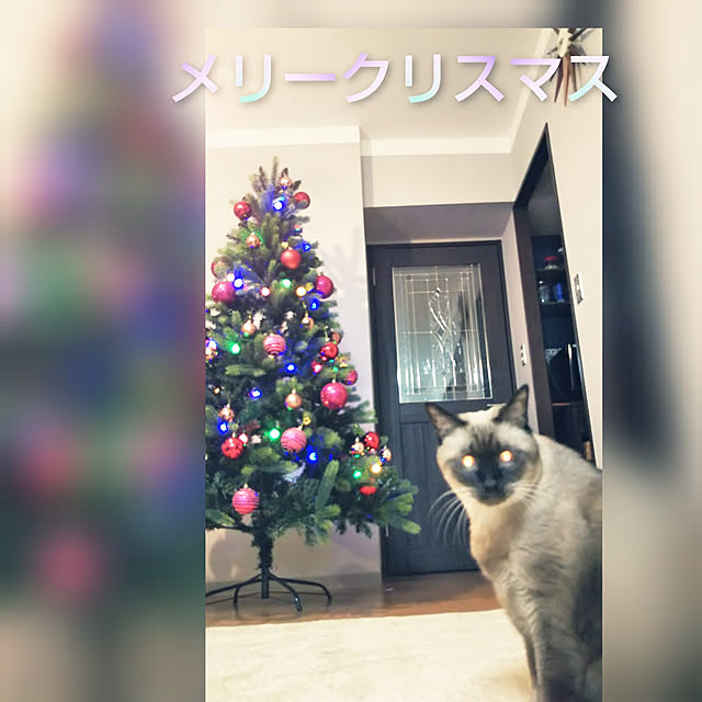 sabaさんの実例写真