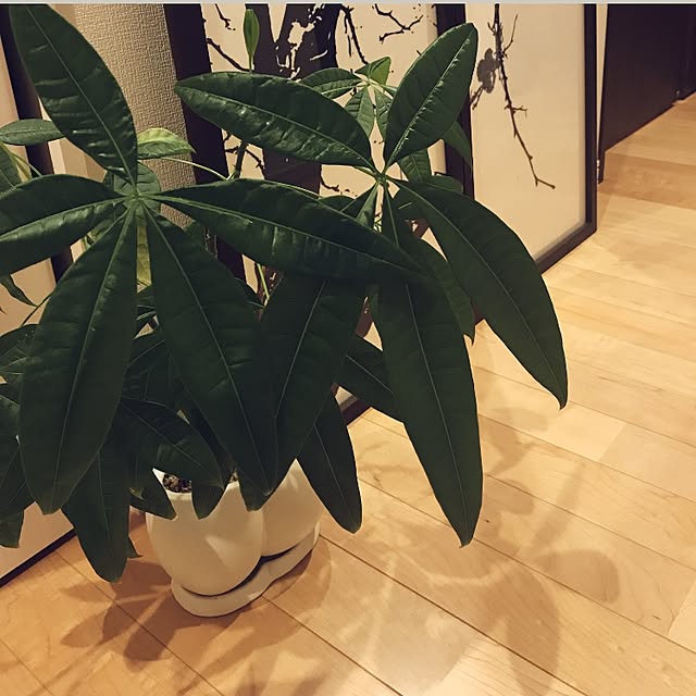 MI.aさんの実例写真