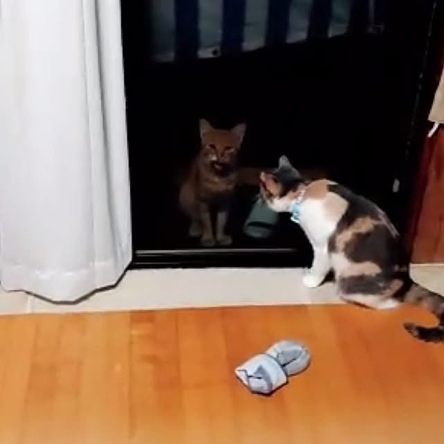 fukuさんの実例写真