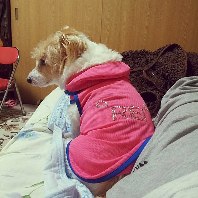 kakkyさんの実例写真