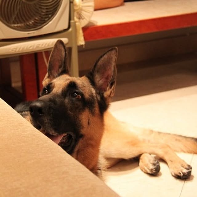 kurukuru610さんの実例写真