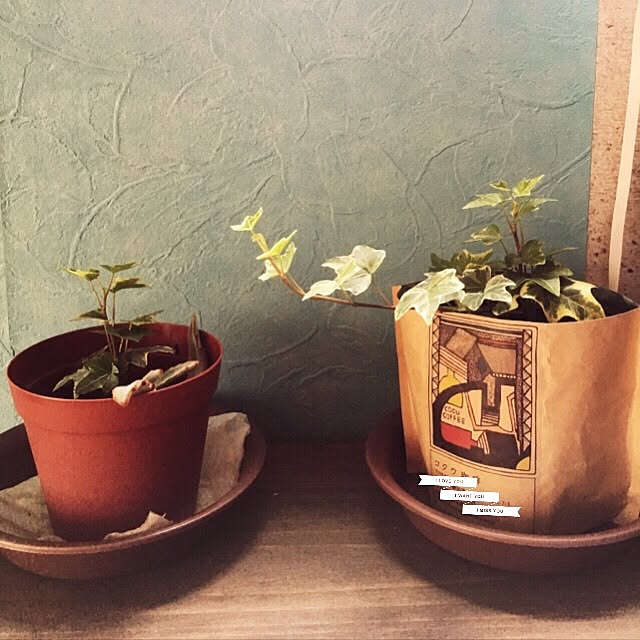 naosanさんの実例写真