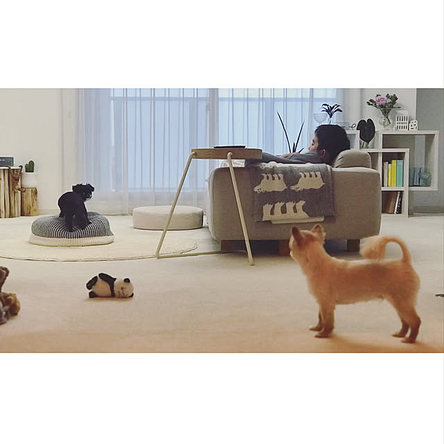haruhinaさんの実例写真