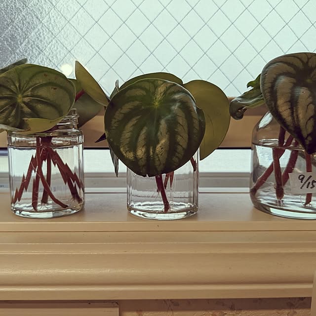 annaさんの部屋