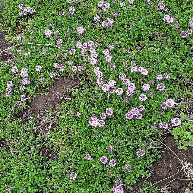 minnieさんの部屋