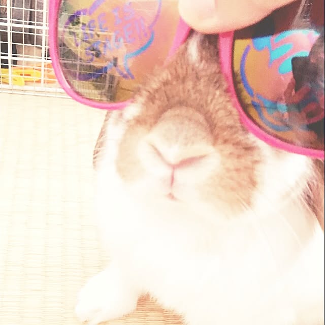 naさんの実例写真
