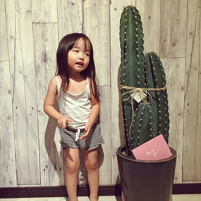 ayasaさんの実例写真