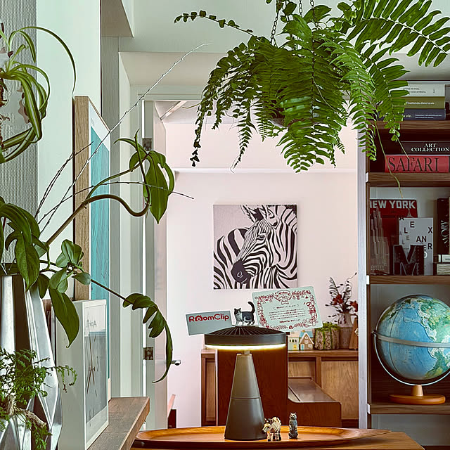 DAYONEさんの実例写真