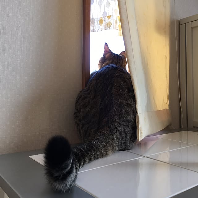 baronkotarouさんの実例写真