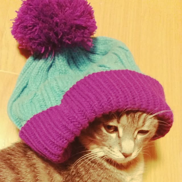 oyumiさんの実例写真
