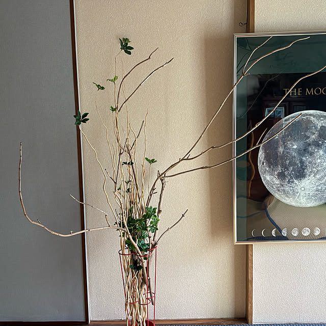 syutmmさんの部屋