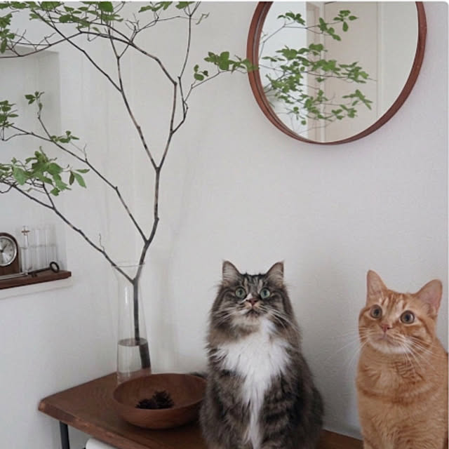 Hisashiさんのお部屋の写真