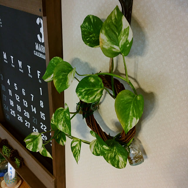 rassesachi.1231さんの実例写真