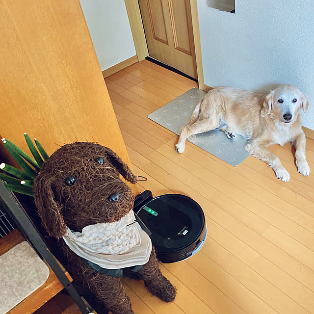 minu5656さんの実例写真