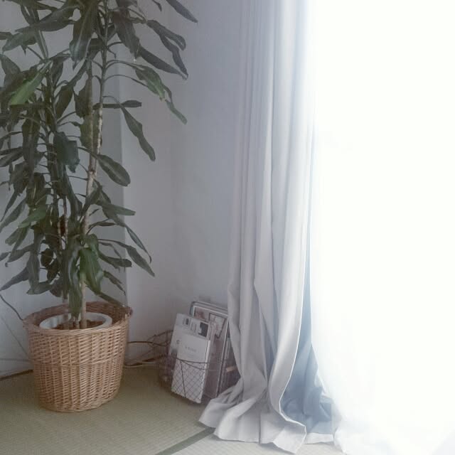 Miwaさんの実例写真