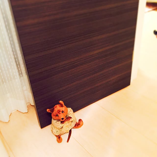Sanaさんの実例写真