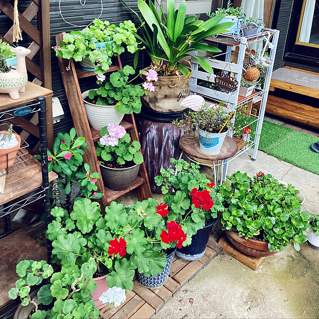 CoCo0617さんの実例写真