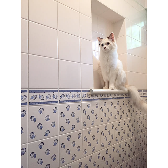 mokkoさんの実例写真
