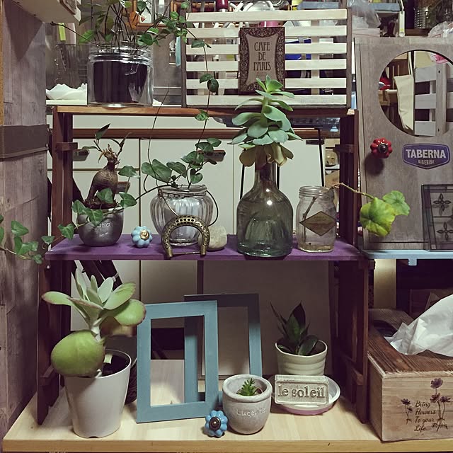 Norikoさんの実例写真