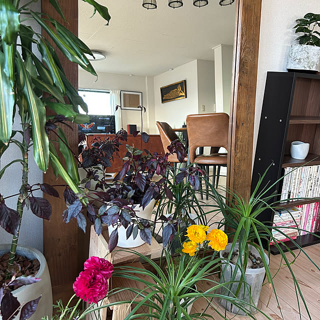 nee_roomさんの実例写真