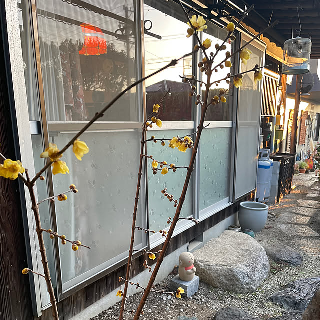 shin0719さんの実例写真